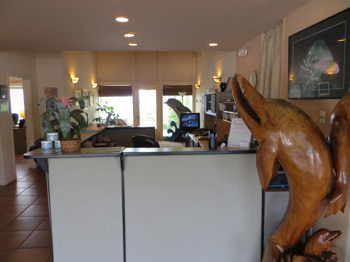Sugarloaf Lodge Sugarloaf Shores Esterno foto